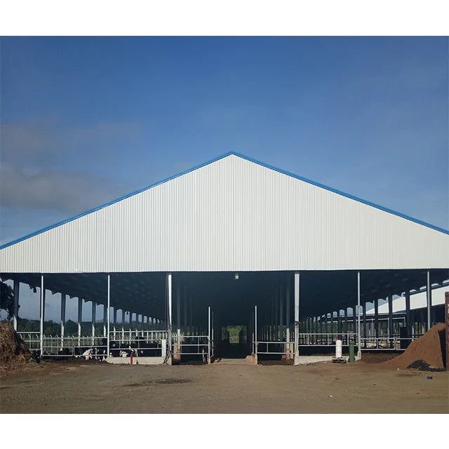 Customized High Quality Light Steel Structure Garage Carport Shed Warehouse Building