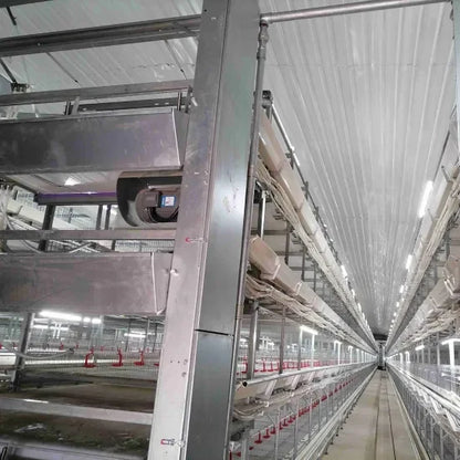 Fast Installation Steel Structure Poultry House  Prefabricated Steel Frame Chicken House Environmental Protection Chicken Shed