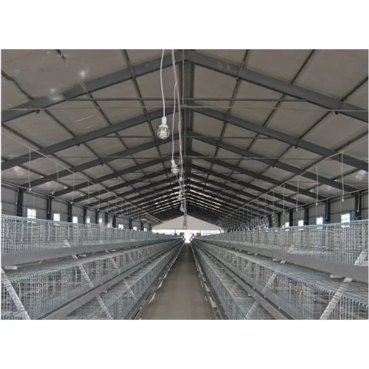 Fast Installation Steel Structure Poultry House  Prefabricated Steel Frame Chicken House Environmental Protection Chicken Shed