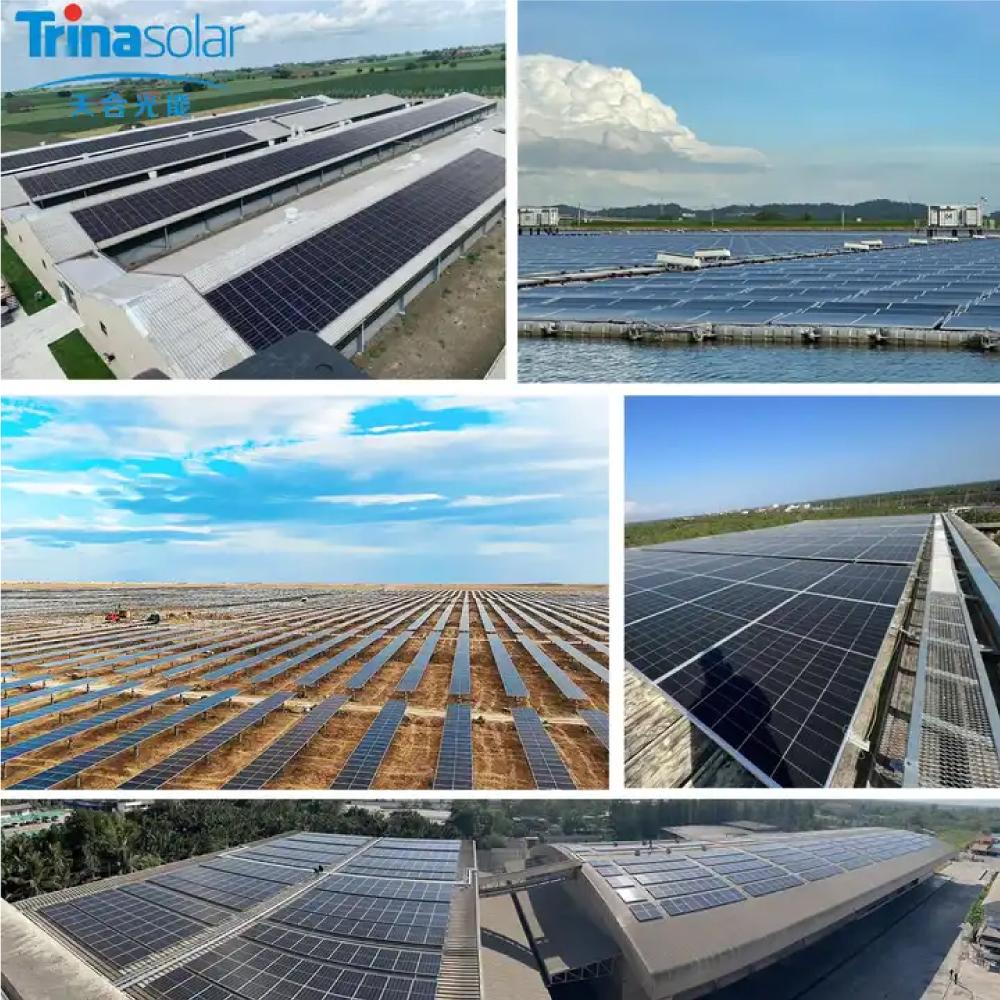 Trina Vertex Panel Solar N Type 600W 650W 670W 700W Bifacial Solar Panels Half Cut Panneau Solaire Trina